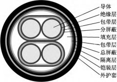 用于控制電磁流量計(jì)使用中低噪音的信號(hào)電纜結(jié)構(gòu)設(shè)計(jì)說明